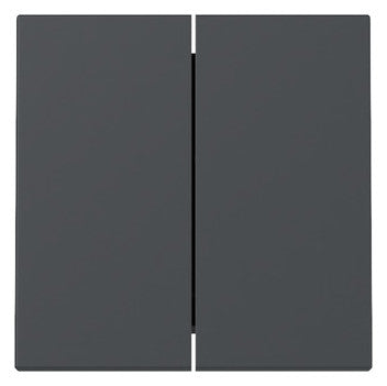 GIRA 329528 Wippe 2f System 55 Anthrazit