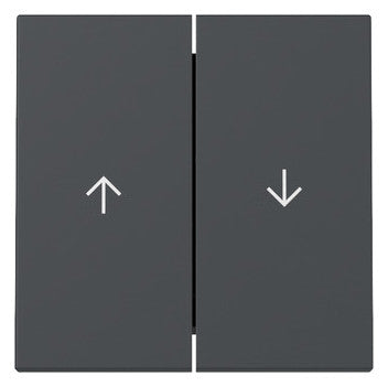 GIRA 329428 Wippe 2f Pfeil System 55 Anthrazi