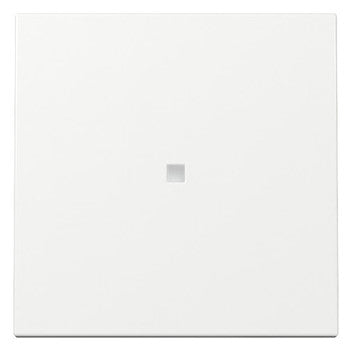 GIRA 329003 Wippe Kontroll System 55 Reinweiß