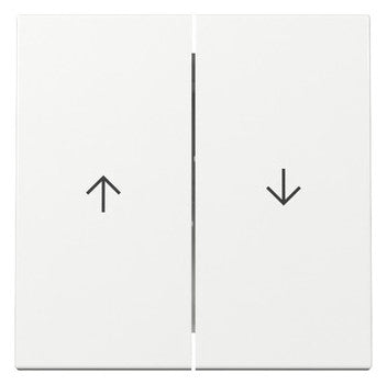 GIRA 329403 Wippe 2f Pfeil System 55 Reinweiß